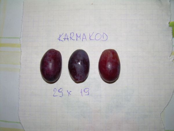 Plik:Karmakod 13.08.2012.jpg