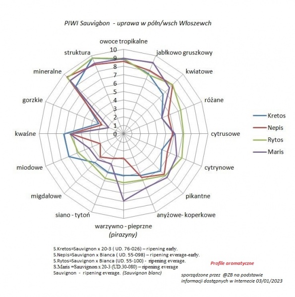 Plik:4 PIWI Sauvignon.JPG