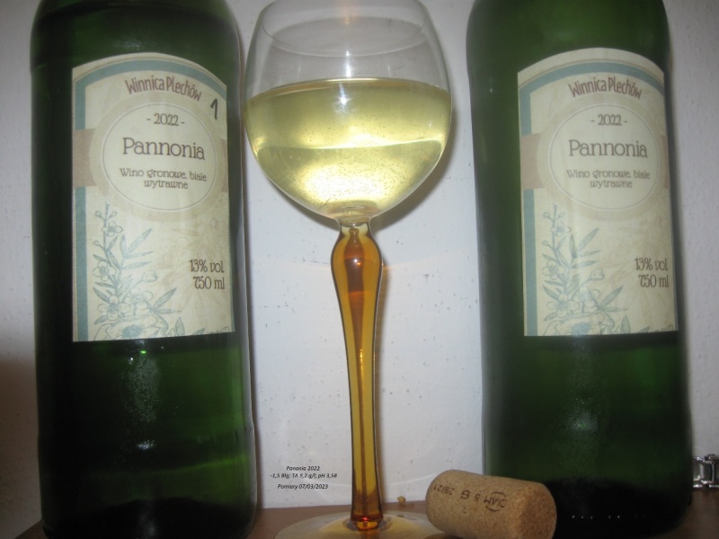 Plik:Panonia 2022.jpg