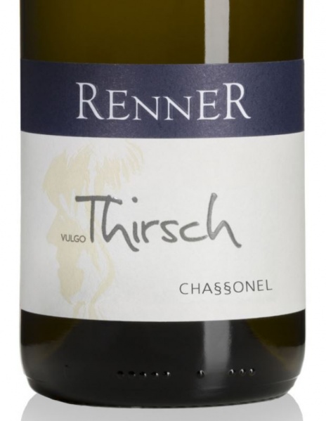 Plik:Chardonel 2021.JPG