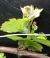 Miniatura wersji z 15:46, 23 maj 2010