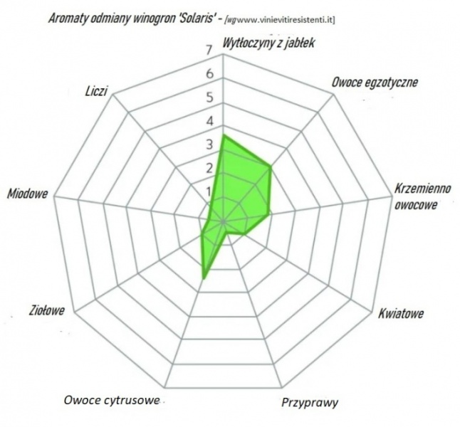 Plik:Solaris.JPG