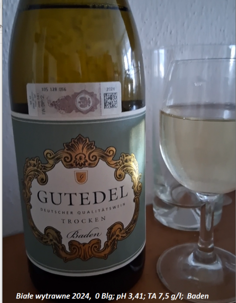 Plik:GUTEDEL 2024.PNG